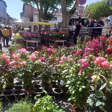 La Soulane * Colombieres-sur-Orb